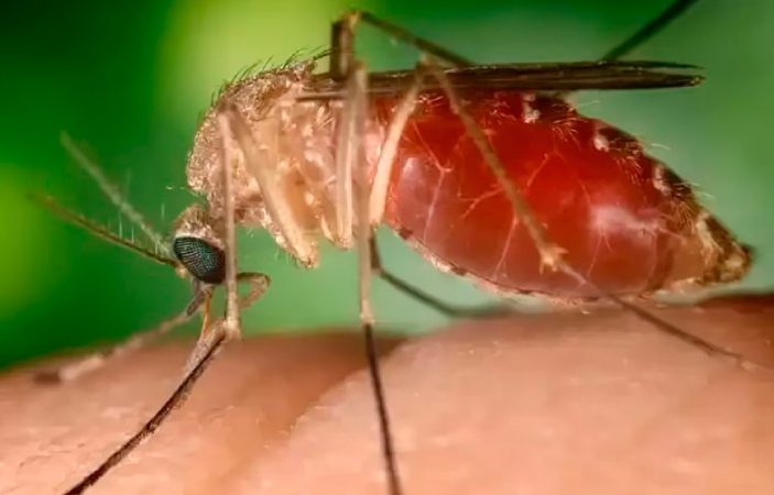 Screenshot 2025 04 19 003251