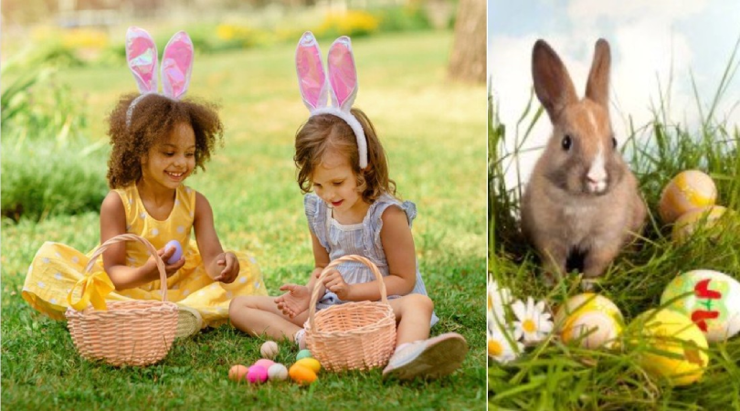 Screenshot-2025-04-19-132102 Do símbolo da vida à doçura moderna, a fascinante origem do ovo de Páscoa