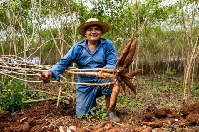 Screenshot-2025-04-19-214714 Startup do Amazonas cria bioembalagens feitas de mandioca e impulsiona comunidades tradicionais