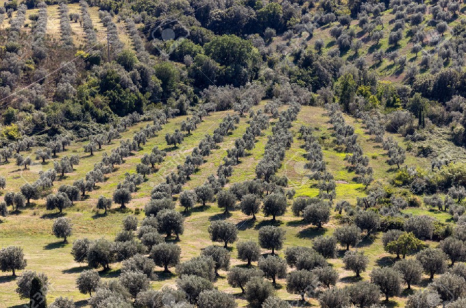 Screenshot 2025 04 20 004852