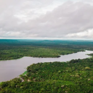 Área de proteção na Amazônia terá trilha ecológica e turismo de base comunitária APA