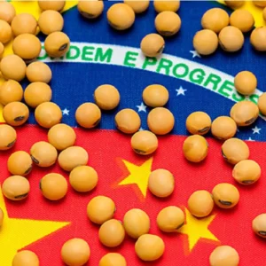 Brasil assume protagonismo na exportação de soja com afastamento da China dos EUA China