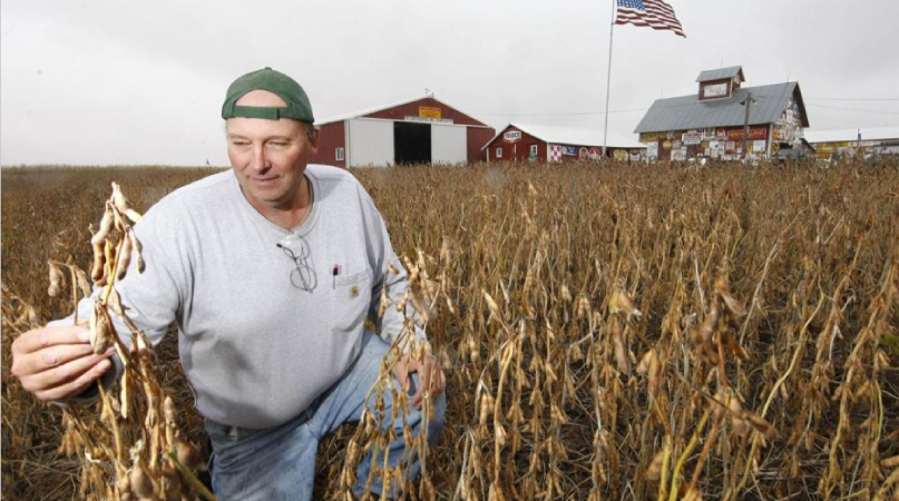 Screenshot-2025-04-22-184345 Brasil assume protagonismo na exportação de soja com afastamento da China dos EUA