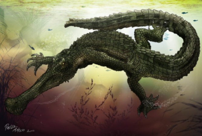 Nova espécie de crocodilo pré-histórico é descoberta na Amazônia e revela segredos do Mioceno 3 crocodilo