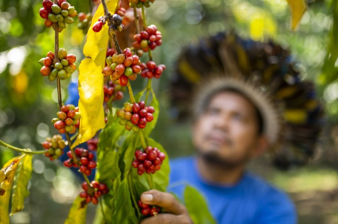 Conheça editais como o Finep, que libera R$ 100 milhões para bioeconomia amazônica 2 Screenshot 2025 04 24 105518