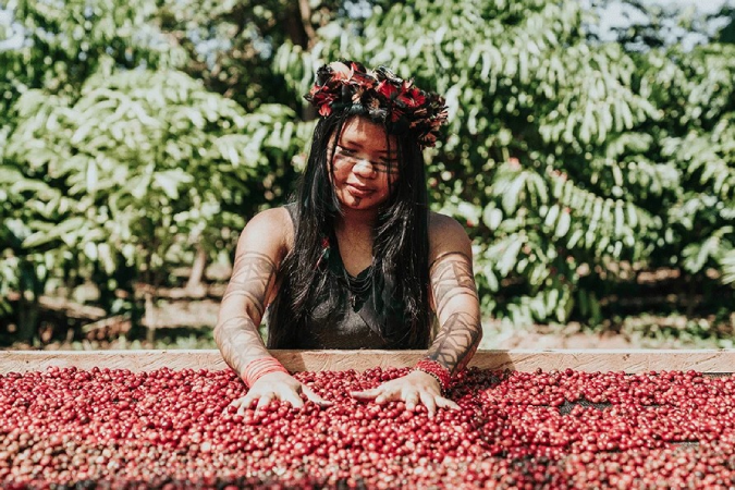 Celulares ajudam a garantir a autenticidade de cafés indígenas da Amazônia 2 Screenshot 2025 04 24 110058