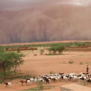 Sinais ocultos da Terra são sinais de alertas para bilhões em risco Tempestade de areia no Mali
