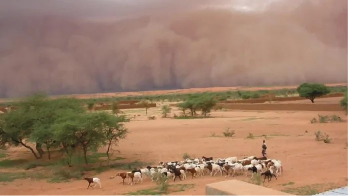 Tempestade_de_areia_no_Mali Tempestade de areia no Mali