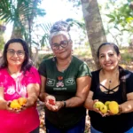 Cozinhas coletivas do Marajó impulsionam autonomia feminina e renda em comunidades rurais cozinhas