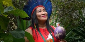 Saberes ancestrais ecoam como guias para um amanhã sustentável e conectado com a floresta