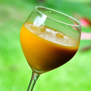 Uma jornada pelos sabores e microrganismos naturais