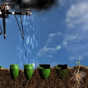 Drones plantam árvores e revolucionam o reflorestamento