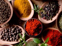 A floresta é uma fonte de sabores incríveis! Descubra temperos e extratos nativos usados há séculos por povos da Amazônia.