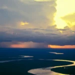 Como a Amazônia faz chover no Sudeste e salva as nossas cidades