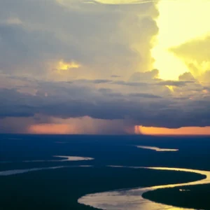 Como a Amazônia faz chover no Sudeste e salva as nossas cidades