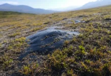 Problemas do degelo do permafrost no Alasca