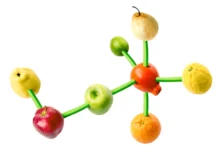 Pesquisadores investigam impacto dos compostos bioativos vegetais na saúde