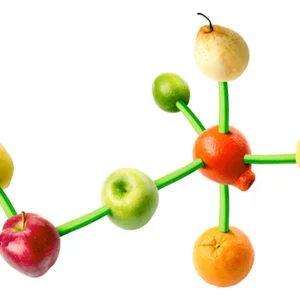 Pesquisadores investigam impacto dos compostos bioativos vegetais na saúde