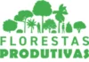 Caixa destina R$ 50 milhões para incentivar florestas produtivas na Amazônia Caixa
