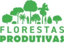 Caixa destina R$ 50 milhões para incentivar florestas produtivas na Amazônia Caixa