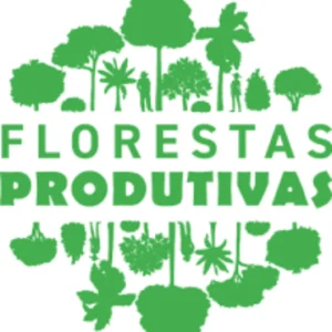 Caixa destina R$ 50 milhões para incentivar florestas produtivas na Amazônia Caixa