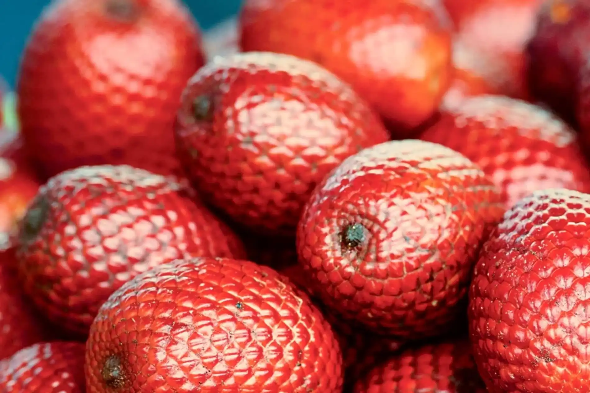 k2 items src 3686c670f935683f1d032837862fe505