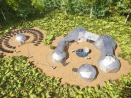 Startups Verdes Desbravam a Floresta com Tecnologia e Paixão