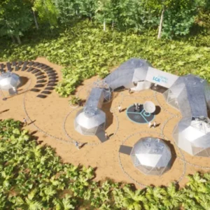 Startups Verdes Desbravam a Floresta com Tecnologia e Paixão Startups Verdes Desbravam a Floresta com Tecnologia e Paixão