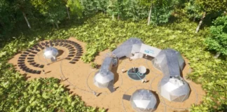 Startups Verdes Desbravam a Floresta com Tecnologia e Paixão