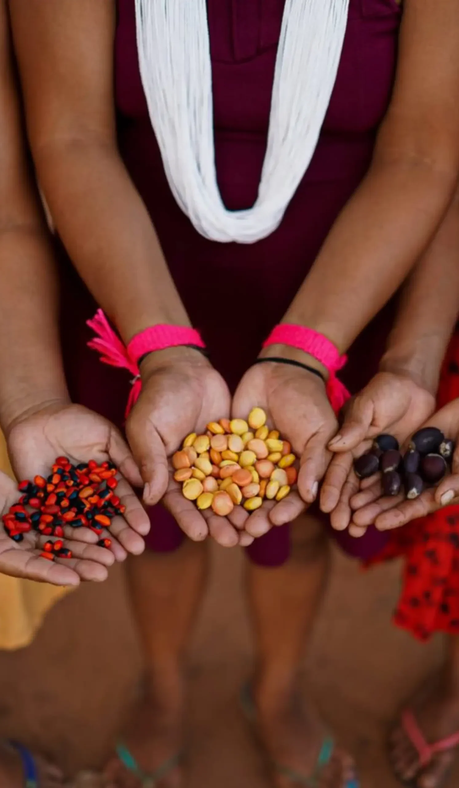 mulheres-maos-684x1024-1-scaled-e1745861471806 Caminhos ancestrais para um futuro sustentável