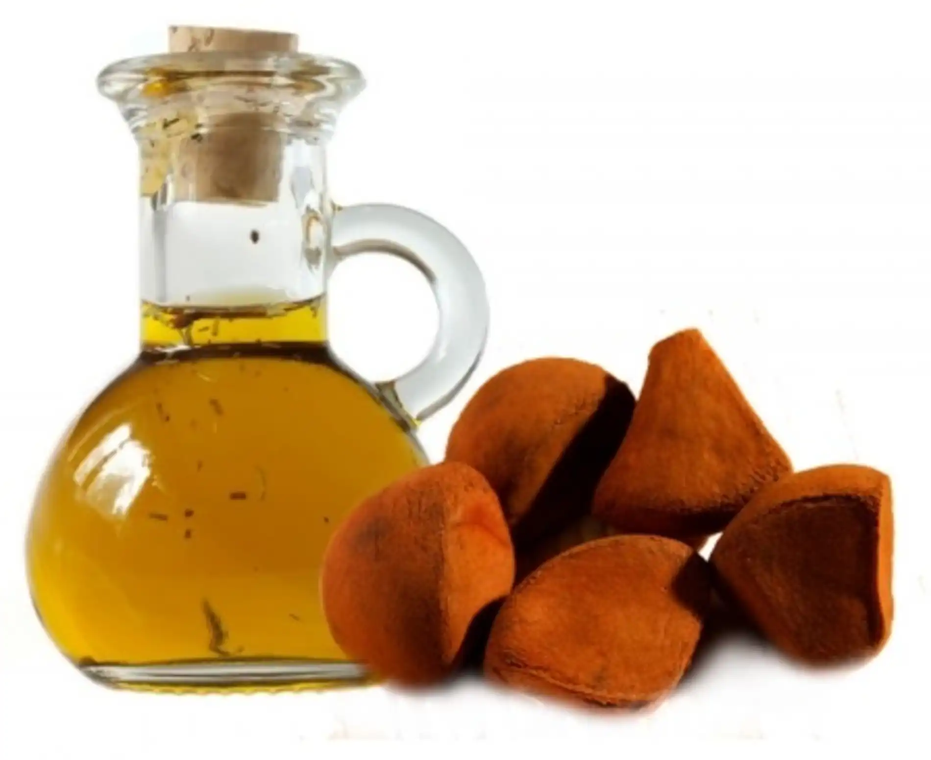 oleo-andiroba-11 Os aromas naturais da floresta e sua aplicação