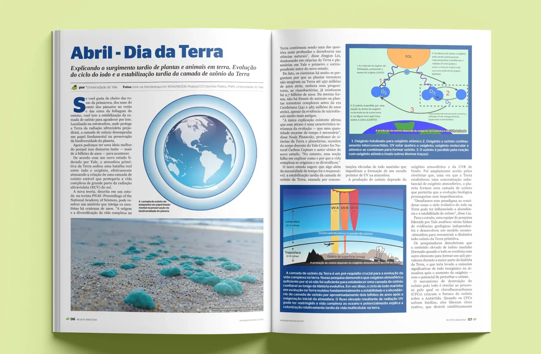 revistaamazonia02 scaled