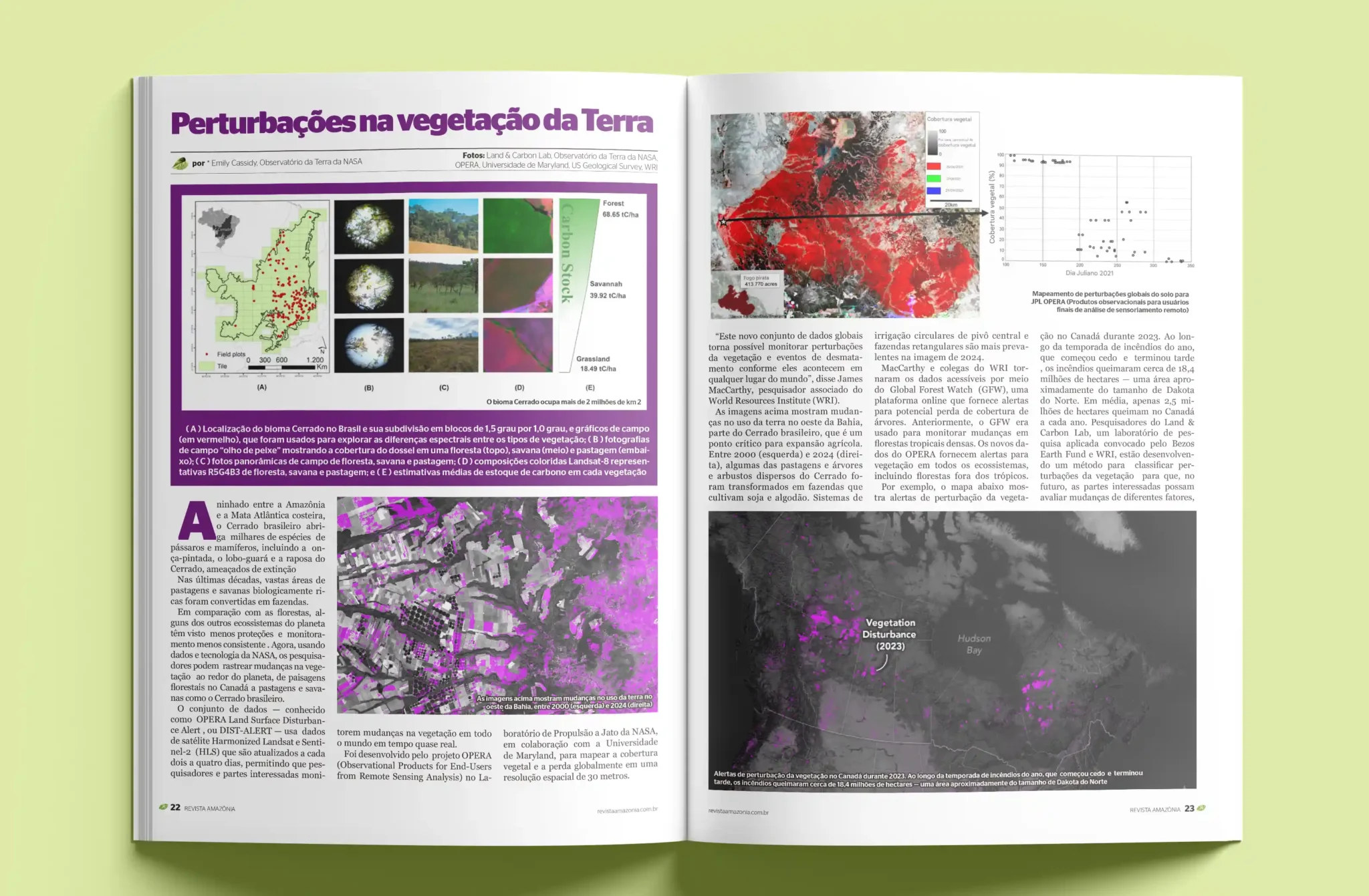 revistaamazonia03 scaled