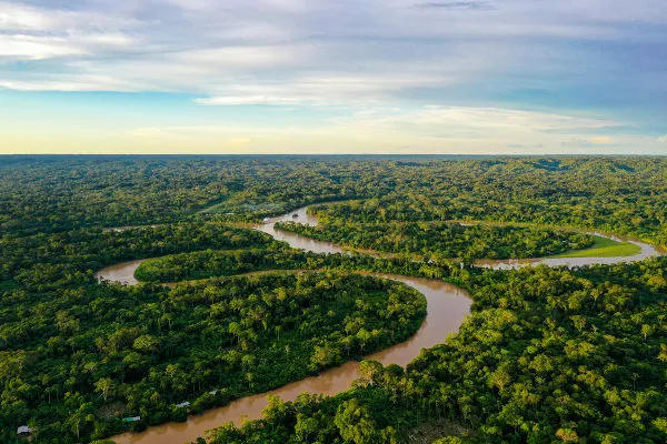 vista-floresta-amazonica Vertebrados minúsculos e surpreendentes da Amazônia
