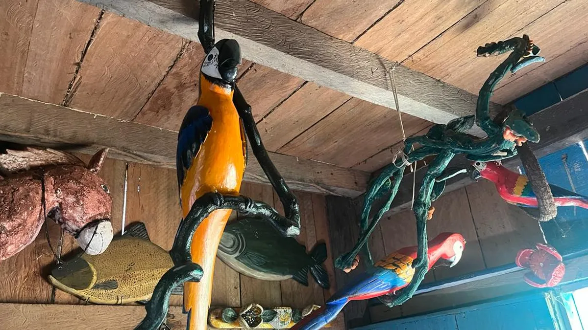 Artesanato Regenerativo: Quando o Design Nasce da Floresta Viva 2 whatsapp image 2023 12 09 at 11.50.08