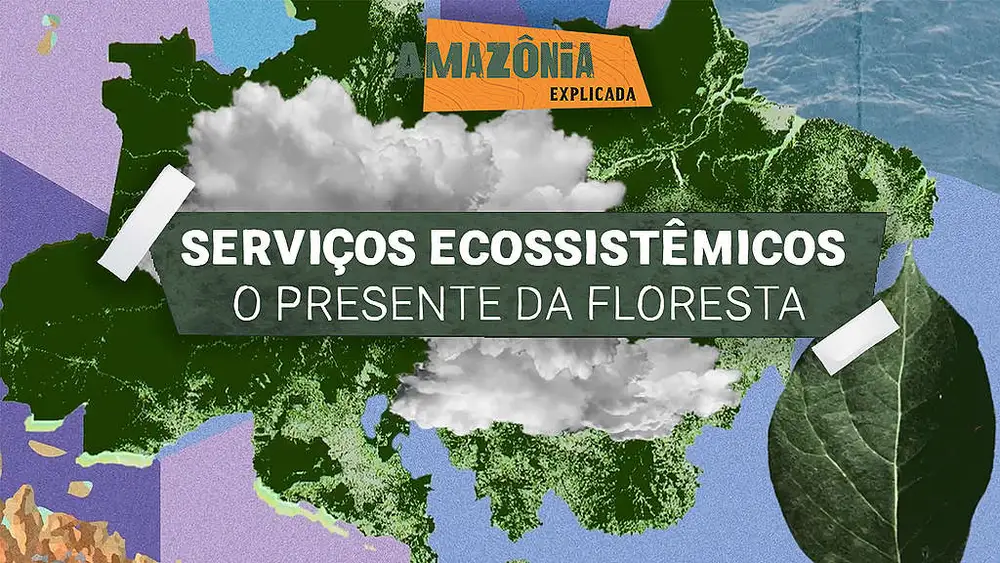 0d96e574-2.-servicos-ecossistemicos_-o-presente-da-floresta-1024x576-1 Infância e floresta crescem juntas na Amazônia