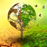 Sabedoria da floresta aplicada ao futuro sustentável