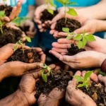 Educação ambiental transforma comunidades na Amazônia