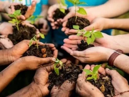 Educação ambiental transforma comunidades na Amazônia