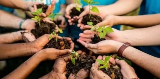Educação ambiental transforma comunidades na Amazônia