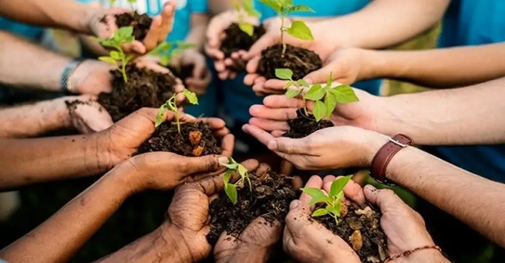 Infância e floresta crescem juntas na Amazônia 3 Educação ambiental transforma comunidades na Amazônia