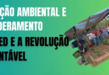 Amazôniatec e a economia circular que transforma a Amazônia Amazoniatec transforma resíduos em recursos e impulsiona a economia circular na Amazônia com saberes quilombolas e tecnologias sociais