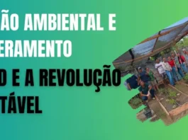 Amazoniatec transforma resíduos em recursos e impulsiona a economia circular na Amazônia com saberes quilombolas e tecnologias sociais