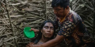 Espíritos protetores da floresta na alma indígena