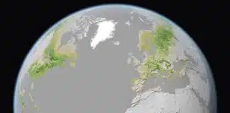 ESA revela o maior conjunto de dados de sempre sobre biomassa florestal A ESA divulgou seus mapas de carbono florestal acima do solo mais abrangentes, baseados em satélite, até o momento. Abrangendo quase duas décadas, o conjunto de dados oferece o panorama global mais claro até o momento de como os estoques de carbono florestal mudaram ao longo do tempo. Desenvolvido pelo projeto Biomassa da Iniciativa para Mudanças Climáticas da ESA, este novo registro de longo prazo integra dados de diversas missões de satélite. A imagem mostra a distribuição e a densidade da biomassa acima do solo em 2022