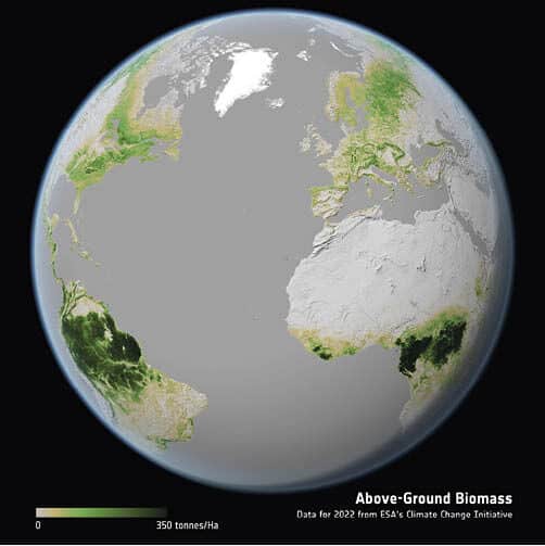 A ESA divulgou seus mapas de carbono florestal acima do solo mais abrangentes, baseados em satélite, até o momento. Abrangendo quase duas décadas, o conjunto de dados oferece o panorama global mais claro até o momento de como os estoques de carbono florestal mudaram ao longo do tempo. Desenvolvido pelo projeto Biomassa da Iniciativa para Mudanças Climáticas da ESA, este novo registro de longo prazo integra dados de diversas missões de satélite. A imagem mostra a distribuição e a densidade da biomassa acima do solo em 2022