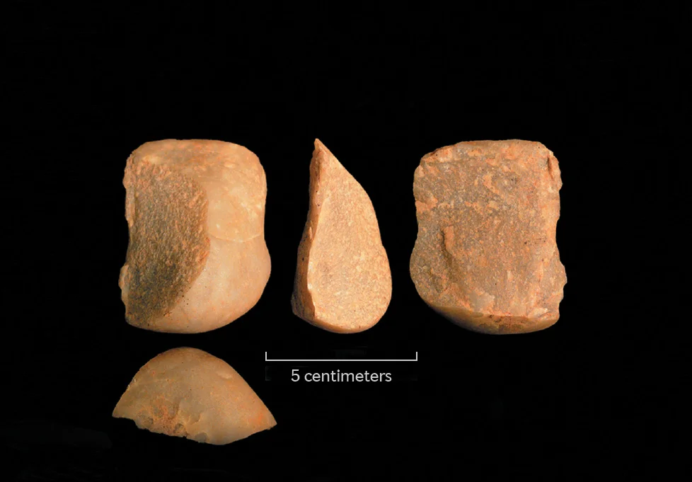 B49D5F18-5CC0-4D7E-9D503C64C75A7F9F_source Os incríveis Macacos fabricantes de ferramentas