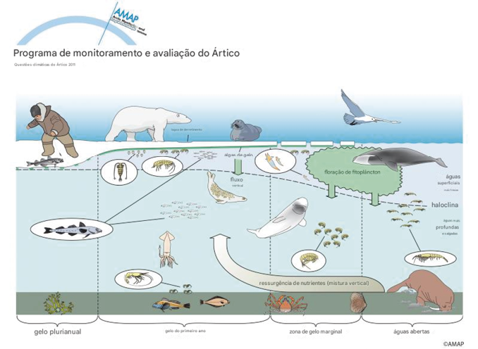 Banquete_de_vida_emergindo_das_profundezas_com_peixes_e_animais_marinhos_reunidos_em_torno_dessa_abund_ncia “Colapso da criosfera”