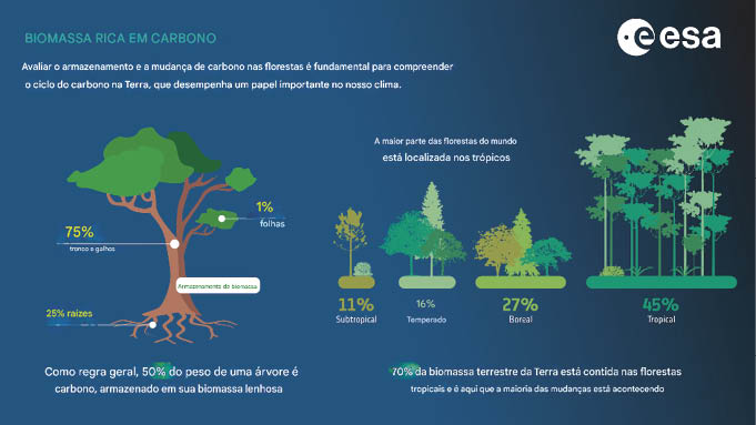 A missão Biomass. rastreia as partes lenhosas da vegetação ricas em carbono, principalmente troncos e galhos, ao redor do mundo durante diferentes anos entre 2007 e 2022, em resoluções que variam de 100 m a 50 km
