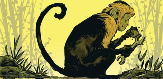 Macacos Fabricam Ferramentas e Intrigam Cientistas